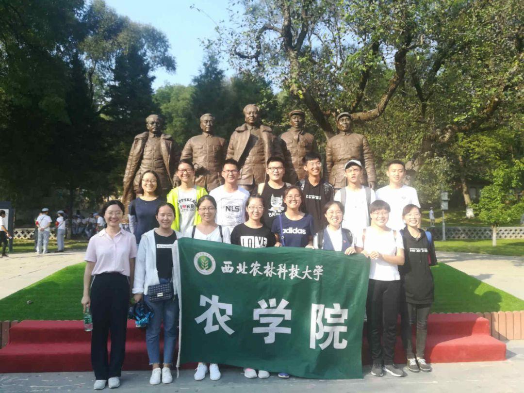 越「腹黑」越有魅力?发现你的暗黑特质